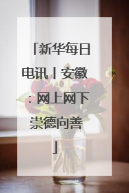 新华每日电讯丨安徽：网上网下 崇德向善