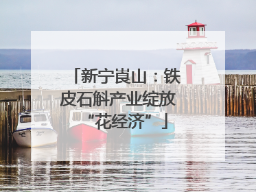 新宁崀山：铁皮石斛产业绽放“花经济”