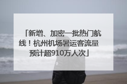 新增、加密一批热门航线！杭州机场暑运客流量预计超910万人次