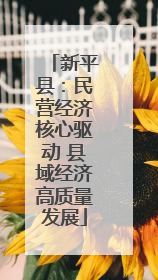 新平县：民营经济核心驱动 县域经济高质量发展