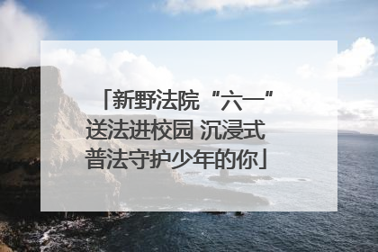 新野法院“六一”送法进校园 沉浸式普法守护少年的你