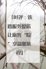 时评：铁路服务提质让旅客“粽”享温馨旅程