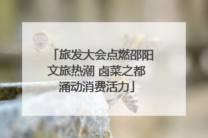 旅发大会点燃邵阳文旅热潮 卤菜之都涌动消费活力