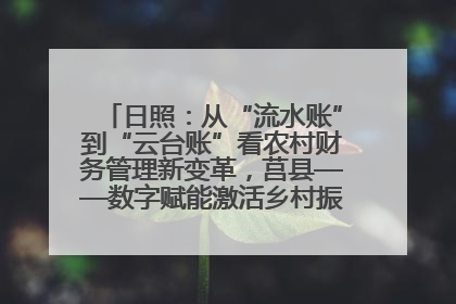 日照：从“流水账”到“云台账”看农村财务管理新变革，莒县——数字赋能激活乡村振兴“一池春水”
