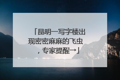 昆明一写字楼出现密密麻麻的飞虫，专家提醒→