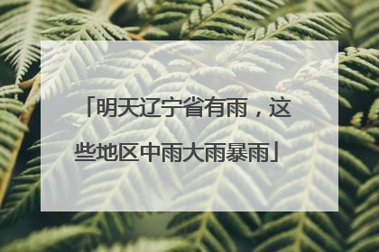 明天辽宁省有雨，这些地区中雨大雨暴雨