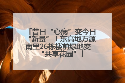 昔日“心病”变今日“新景”！东高地万源南里26栋楼前绿地变“共享花园”