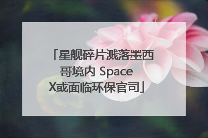 星舰碎片溅落墨西哥境内 SpaceX或面临环保官司