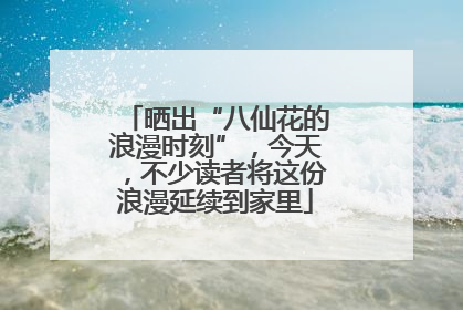 晒出“八仙花的浪漫时刻”，今天，不少读者将这份浪漫延续到家里