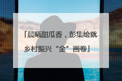 晨曦甜瓜香，彭集绘就乡村振兴“金”画卷
