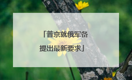 普京就俄军备提出最新要求
