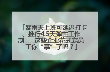暴雨天上班可延迟打卡、推行4.5天弹性工作制……这些企业花式宠员工你“慕”了吗？
