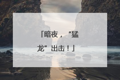暗夜，“猛龙”出击！