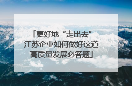 更好地“走出去” 江苏企业如何做好这道高质量发展必答题