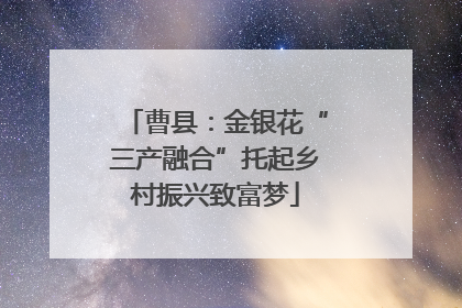 曹县：金银花“三产融合”托起乡村振兴致富梦