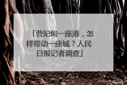 曹妃甸一座港，怎样带动一座城？人民日报记者调查