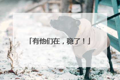 有他们在，稳了！