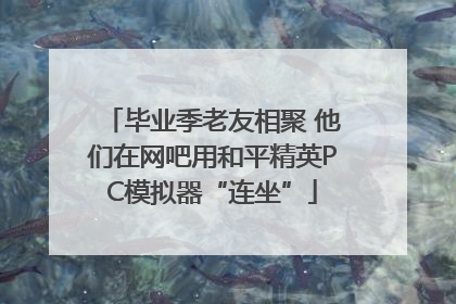 毕业季老友相聚 他们在网吧用和平精英PC模拟器“连坐”