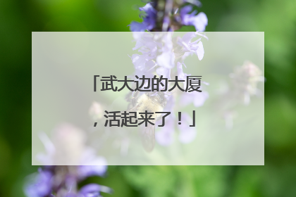 武大边的大厦，活起来了！