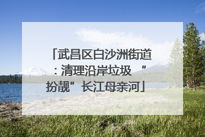 武昌区白沙洲街道：清理沿岸垃圾 “扮靓”长江母亲河