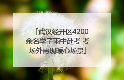 武汉经开区4200余名学子雨中赴考 考场外再现暖心场景
