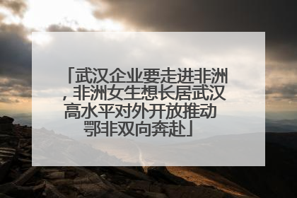 武汉企业要走进非洲，非洲女生想长居武汉 高水平对外开放推动鄂非双向奔赴