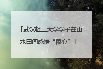 武汉轻工大学学子在山水田间感悟“粮心”