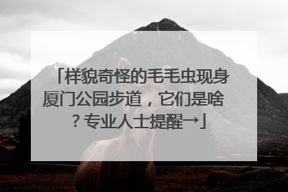 样貌奇怪的毛毛虫现身厦门公园步道，它们是啥？专业人士提醒→