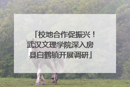 校地合作促振兴！武汉文理学院深入房县白鹤镇开展调研