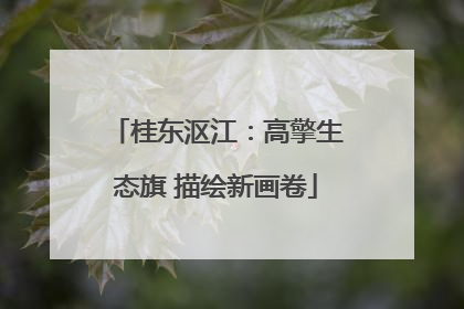 桂东沤江：高擎生态旗 描绘新画卷