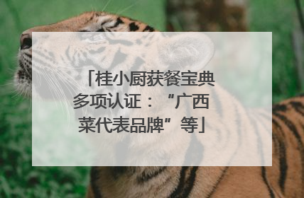 桂小厨获餐宝典多项认证：“广西菜代表品牌”等