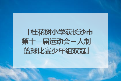 桂花树小学获长沙市第十一届运动会三人制篮球比赛少年组双冠