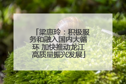 梁惠玲：积极服务和融入国内大循环 加快推动龙江高质量振兴发展