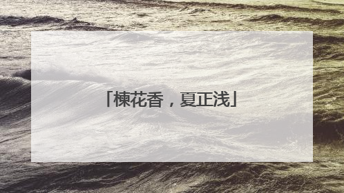 楝花香，夏正浅