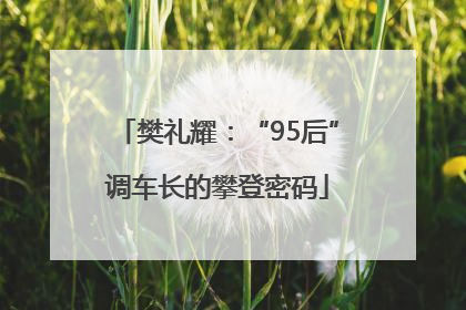 樊礼耀：“95后”调车长的攀登密码