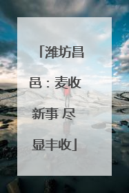 潍坊昌邑：麦收新事 尽显丰收