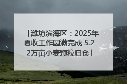 潍坊滨海区：2025年夏收工作圆满完成 5.22万亩小麦颗粒归仓