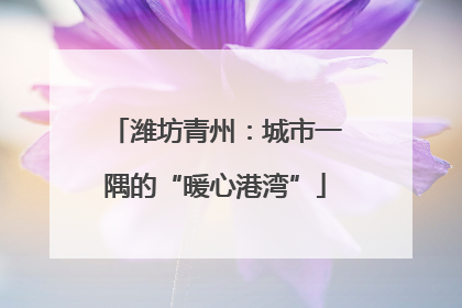 潍坊青州：城市一隅的“暖心港湾”