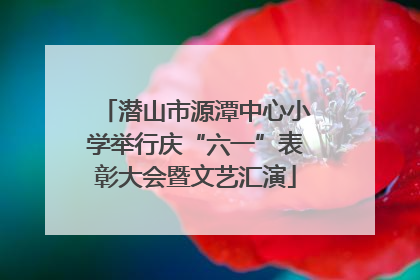 潜山市源潭中心小学举行庆“六一”表彰大会暨文艺汇演