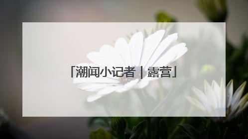 潮闻小记者｜露营