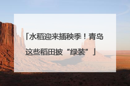 水稻迎来插秧季！青岛这些稻田披“绿装”