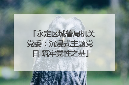 永定区城管局机关党委：沉浸式主题党日 筑牢党性之基