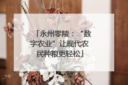 永州零陵：“数字农业”让现代农民种粮更轻松