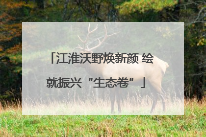 江淮沃野焕新颜 绘就振兴“生态卷”