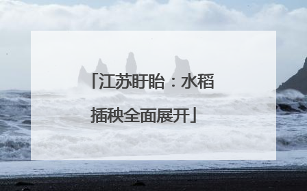 江苏盱眙：水稻插秧全面展开