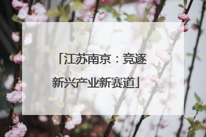 江苏南京：竞逐新兴产业新赛道