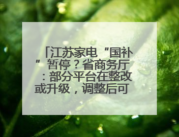 江苏家电“国补”暂停？省商务厅：部分平台在整改或升级，调整后可正常使用