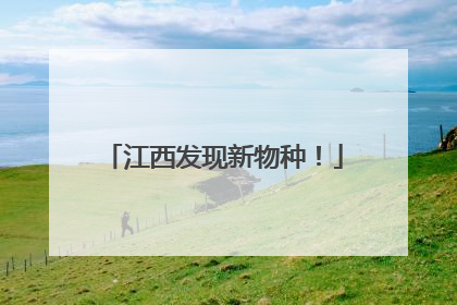 江西发现新物种！