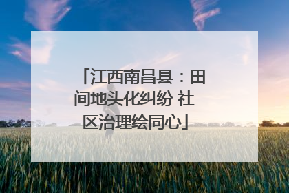 江西南昌县：田间地头化纠纷 社区治理绘同心