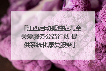 江西启动孤独症儿童关爱服务公益行动 提供系统化康复服务